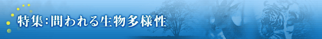 ���W�F����鐶�����l��