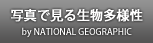 �ʐ^�Ō��鐶�����l��