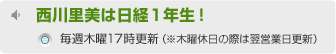 ���엢���͓��o�P�N���I�@���T�ؗj17���X�V�i���ؗj�x���̍ۂ͗��c�Ɠ��X�V�j
